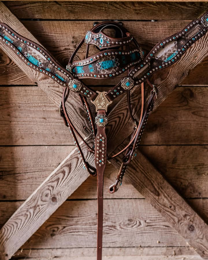 PLR Punchy Prairie Pendelton Tack Set