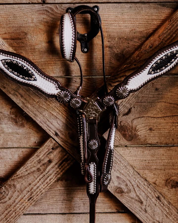 PLR Frostbite Gator Tack Set