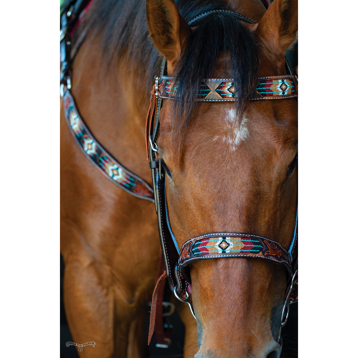 Circle Y Southwestern Beaded